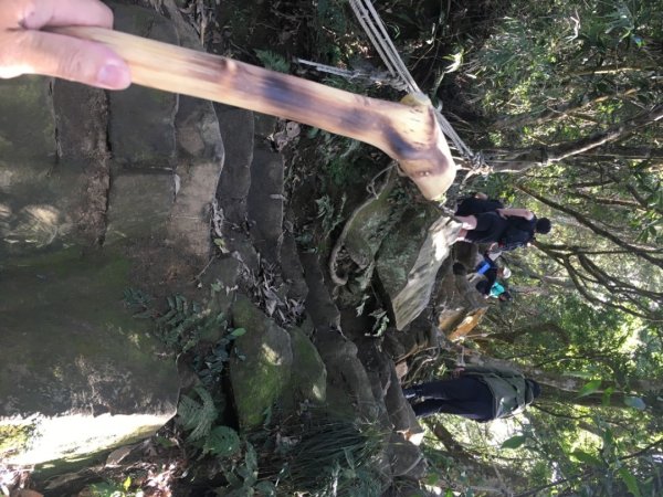 仙山（靈洞宮、協靈宮2723184