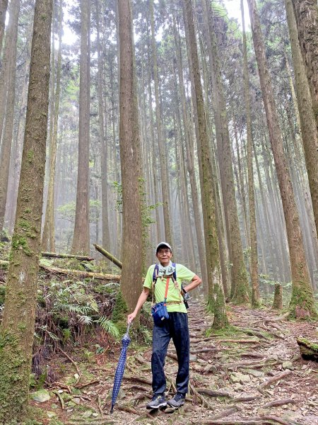 大雪山避暑順登橫嶺山（2人獨享的雲霧森林）  2021/7/151425625