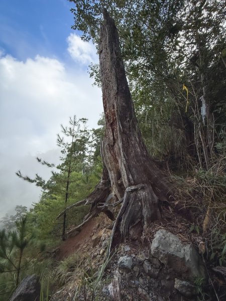 船型山林道賞雲海、烏石坑山、2432峰 山景海景一次到位2929298