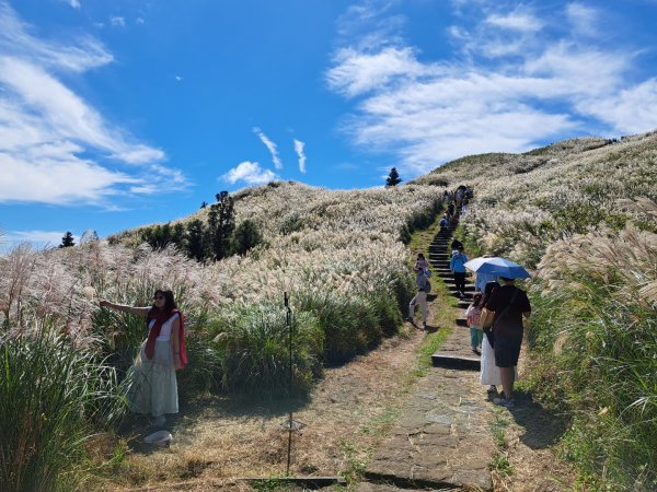 小百岳集起來大屯主峰，七星峰主峰，東峰步道3135739