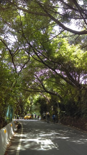 半嶺步道→陽峰古道→陽明公園→前山公園1028476