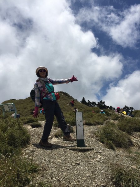 花呢！小奇萊登山步道965322