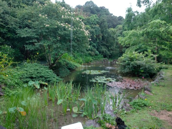 內雙溪自然中心步道(台北小溪頭2812126