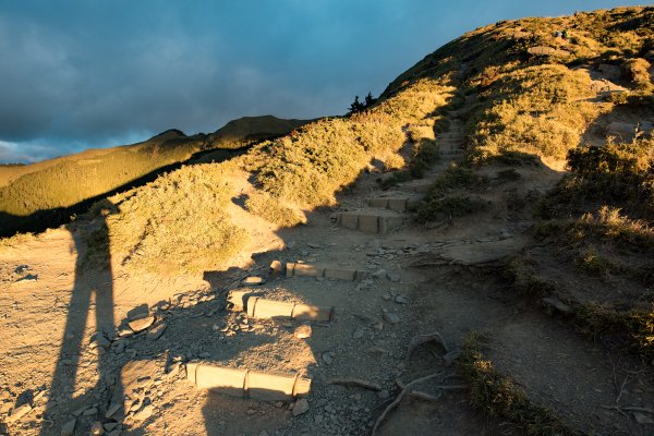 合歡北峰-圓柏的視野466847