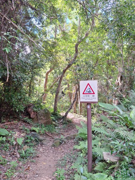 南澳朝陽步道小O202508312876497