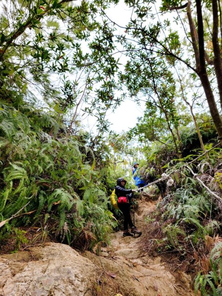 大砲岩-石壇山-八頭山-湯守岩-丹鳳山-202412222859781