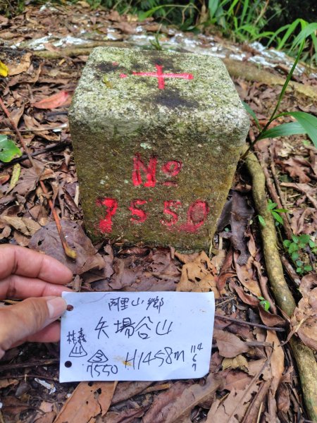 矢場谷山連走勃子山2805068