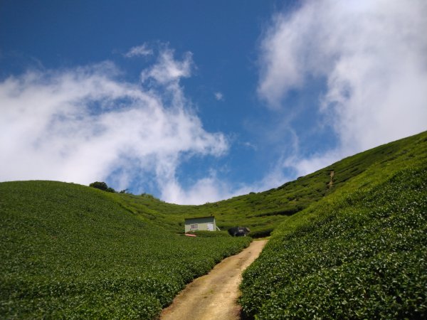 小百岳：嶺子腳山(太平山)1184384