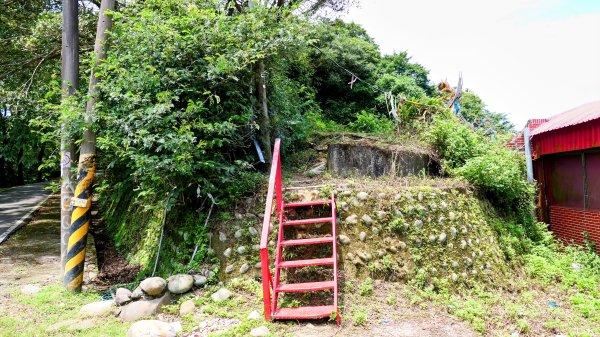 微笑山線百年大榕樹段2848400