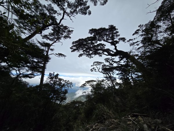 北大武山（喜多麗斷崖）雲海、雲霧、耶穌光之美2467691