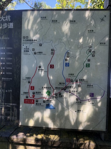 85大坑4號3-1步道縱走11509063124590
