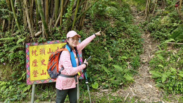 (姨婆趴趴走)第四集:桃園枕頭山古砲台步道、枕頭山、枕頭山西峰環狀縱走2111969