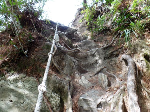 谷關七雄~波津加山293443