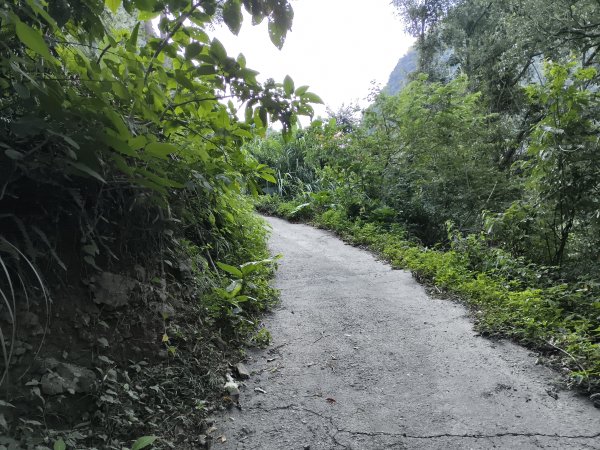 [玉山尋寶任務-07/12] 2025_0824 八通關雲龍瀑布步道2870451