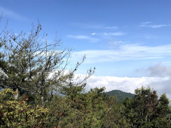 高島縱走（高台山連走島田山）202105081968728