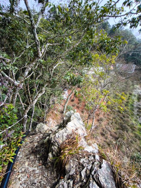 2026-02-08 藤枝山2998433