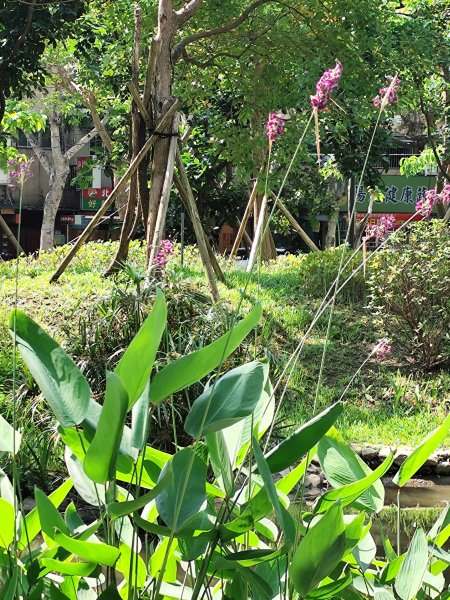 宏匯瑞光廣場、大港墘公園、基隆廟口夜市、基隆港高空煙火秀2796404