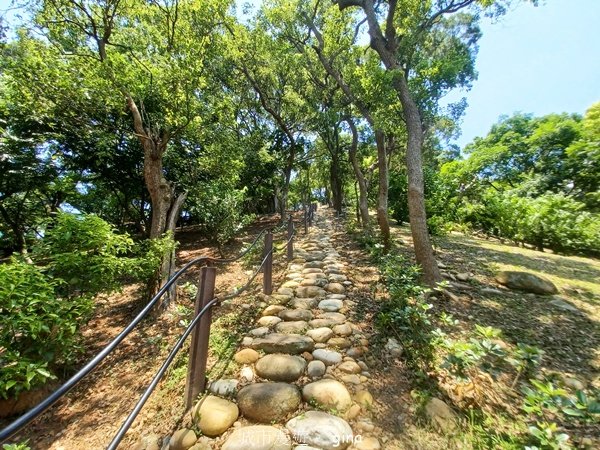 【台中大甲】規劃完善的親民步道。 桂花泉登山步道2862468