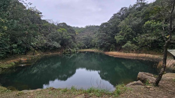 20260203石頭厝山-如意湖-彩虹橋稜線2996794