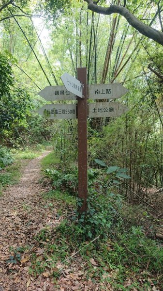 桃園蘆竹-羊稠坑森林步道962232