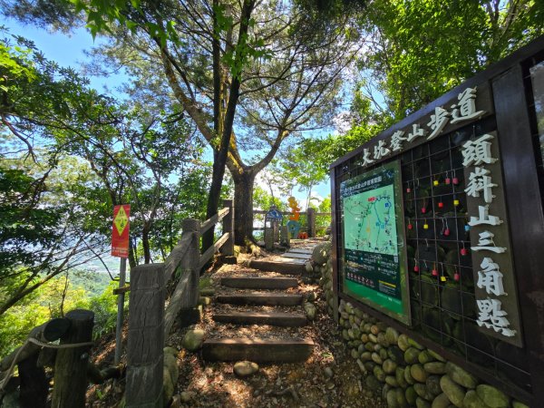台中大坑頭嵙山（大冠鷲／木蜂／五色鳥／血藤花／鳳凰花）2785512