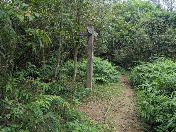 磺嘴山、翠翠谷步道2318179