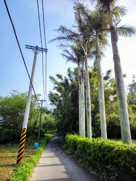 2025-04-27 三員縱走2772039