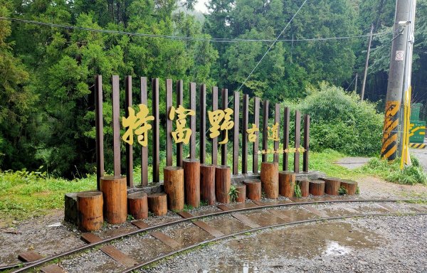 【新聞】懷舊森鐵古道情-特富野古道整修封閉至明年8月