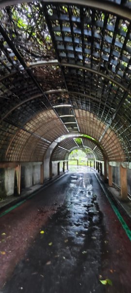 台東．森林公園202508013019155