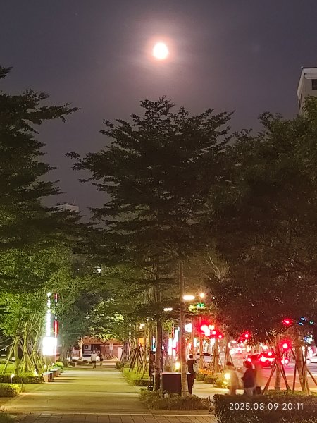 大稻埕 - 迪化街、大港墘公園【臺北健走趣】2855343