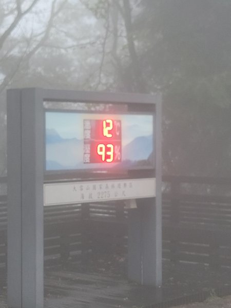 【這樣走波津加也行！】大雪山下波津加進谷關。3025895