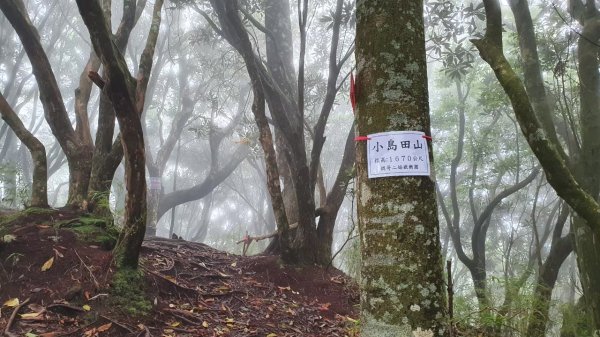 【中級山縱走】高島縱走（高台山，小島田山，中島田山，大島田山）2740961