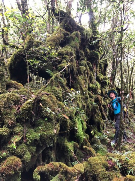 福巴越嶺古道上拉拉山（達觀山）1748290