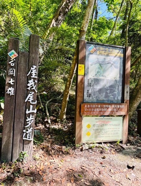 麗陽線 屋我尾步道逍遙遊3062910