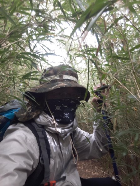 楓之谷~天巒池~武法奈尾山497565