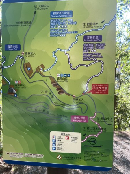 觀霧森林遊樂區（榛山及檜山巨木步道）3060123