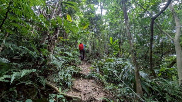 114.06.21大竹坑山-小粗坑山-石門山之旅2818871
