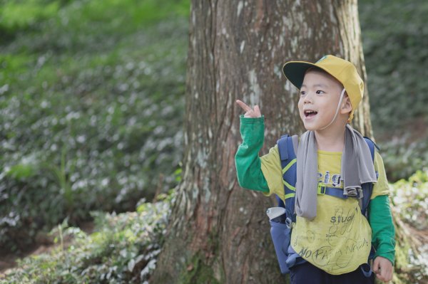 四歲小樂的第14座小百岳-東眼山1055084