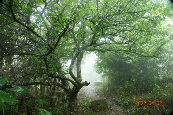 臺南 南化 刣牛湖山1664317