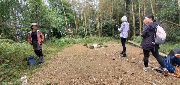 2023-11-25溪頭鳳凰山步道2361000