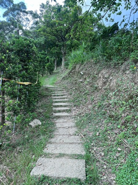 大棟山系第一段、第二段一起走2857257