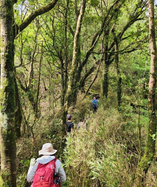 【中級山縱走】魯壁山，東穗山，大島田山，宇老觀景台2771636