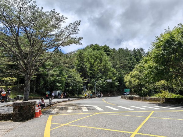 [山海圳_聖山之路_第一段] 2026_0802 自忠⮕鹿林山登山口3109103