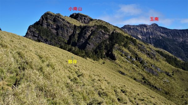 台灣之巔絕美的山景雲海與夕照山行之玉山十三峰連走(五日)2083852