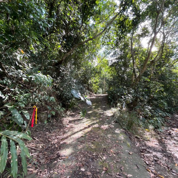 20251115_白雲山（高雄小百岳）2941526