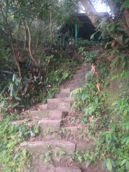 小百岳013號～南港山，幾乎整路爬樓梯，不怕樓梯者限定1348555