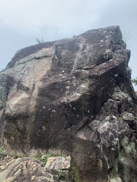 20240609 谷關東卯山(公子登山隊)2523428