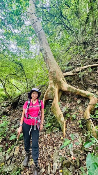 月眉瀑布、白龍灘，林美石盤步道2659885