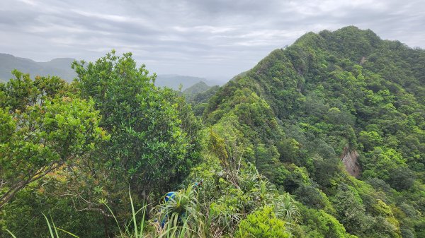 峰頭尖~峰頭尖東峰2761373