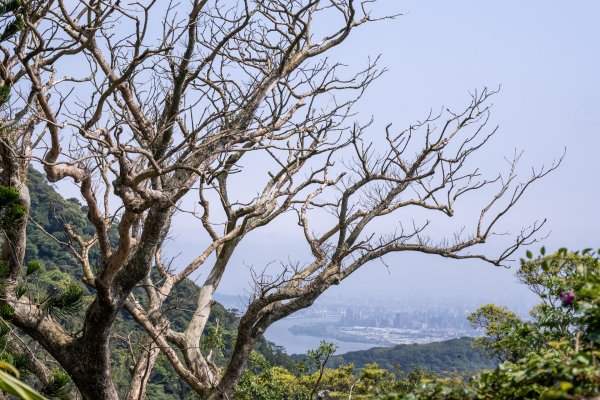 春遊觀音山/K-週五隊3020315